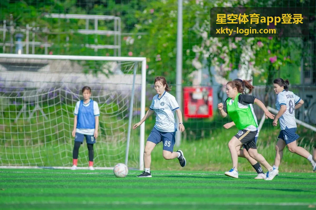 星空体育app登录青训营案例
